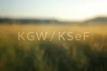 Czy KGW bez działalności gospodarczej musi mieć konto w KSeF? 