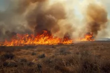 Dotkliwe kary za wypalanie traw od 2026 roku. Ważna zmiana dla rolników