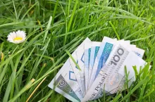 dopłaty, rolnik aktywny