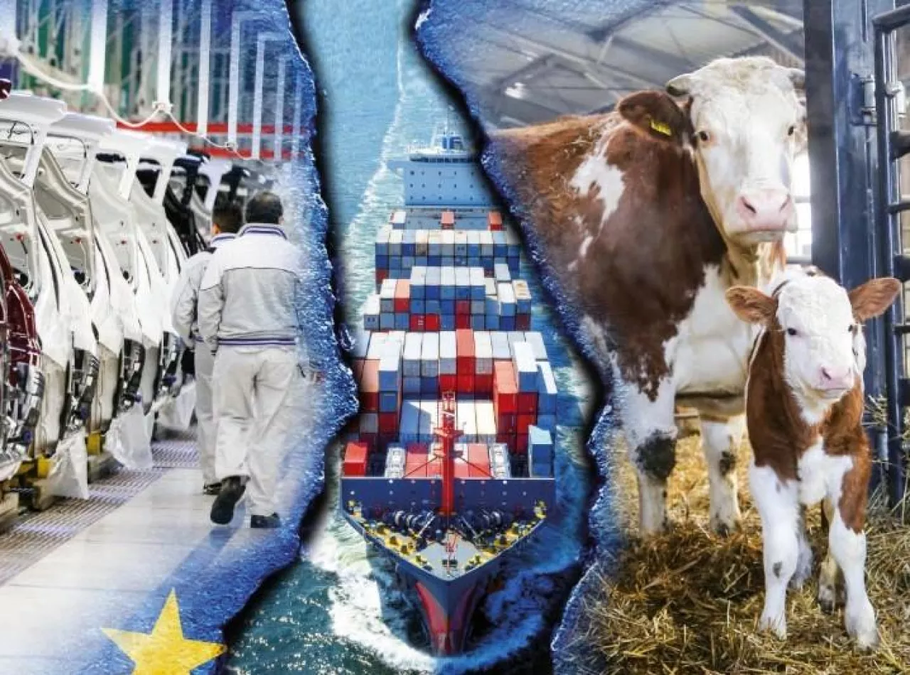 Handel UE z Mercosur generuje wysoki deficyt, a import koncentruje się na wrażliwych sektorach. Właśnie tam liberalizacja handlu może najmocniej uderzyć w konkurencyjność producentów.