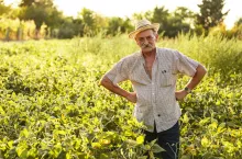 Kiedy rolnik-emeryt przed sądem może otrzymać adwokata z urzędu?