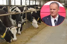 Apel do premiera Tuska