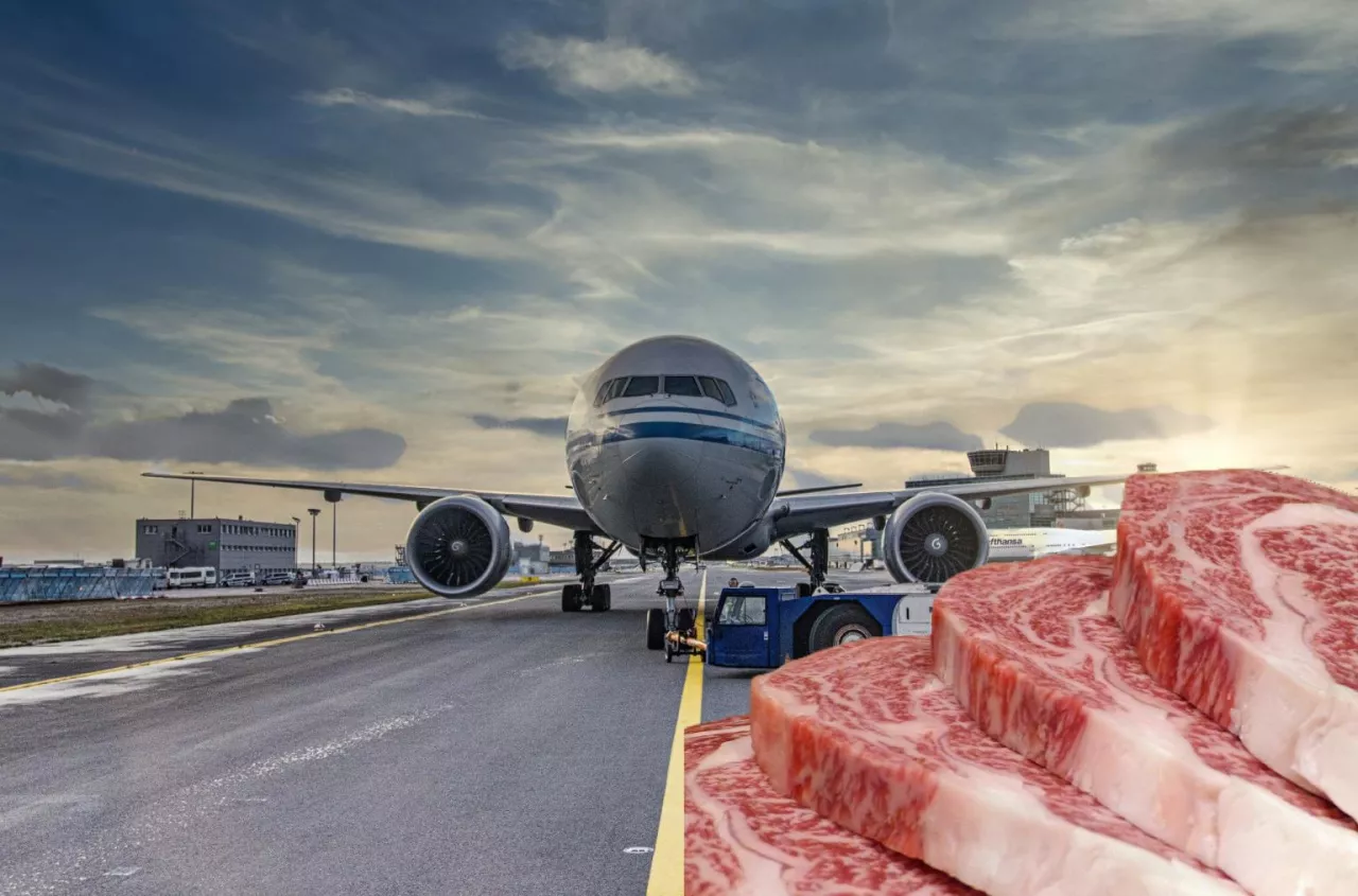 Wołowina z kraju Mercosur przyleciała do Europy samolotem. Tego jeszcze nie było!
