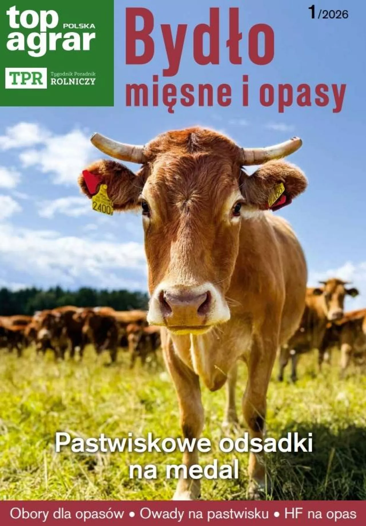 Bydło i opasy okładka