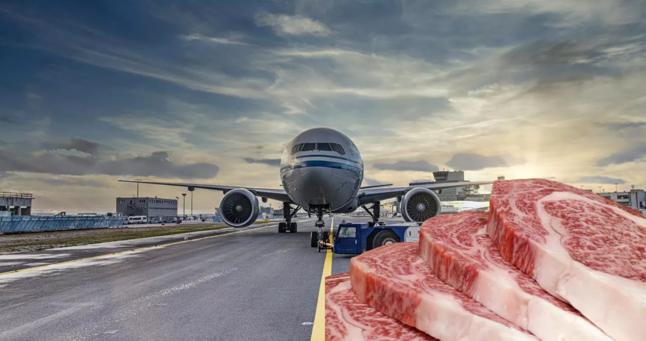 Lotniczy eksport schłodzonej wołowiny do Europy może stać się impulsem do dalszych inwestycji w nowe kanały dystrybucji