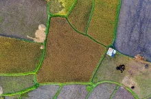 rolnictwo precyzyjne