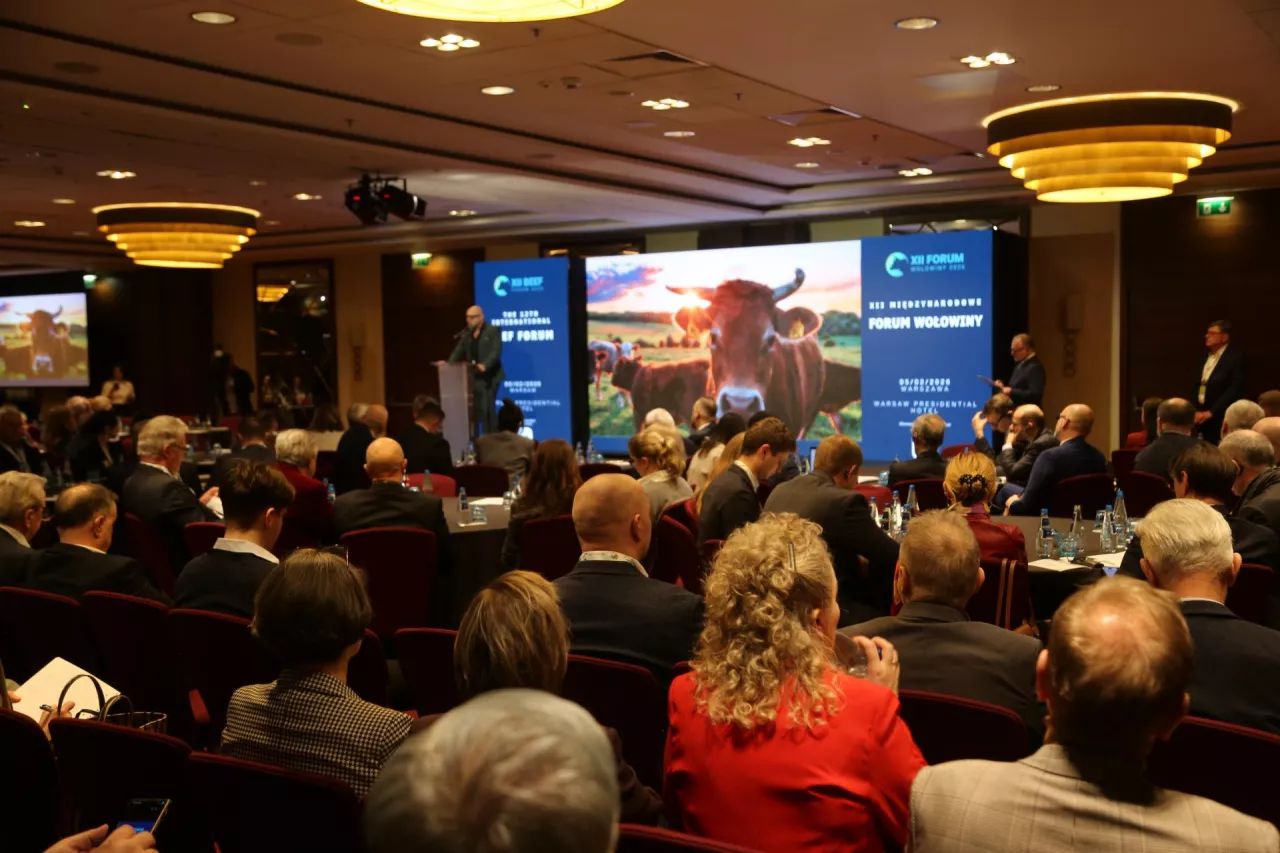 XII Forum Wołowiny