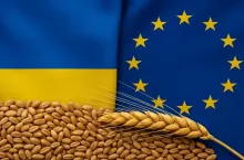 Flagi Ukrainy i UE z ziarnami zboża - symbol handlu produktami rolnymi