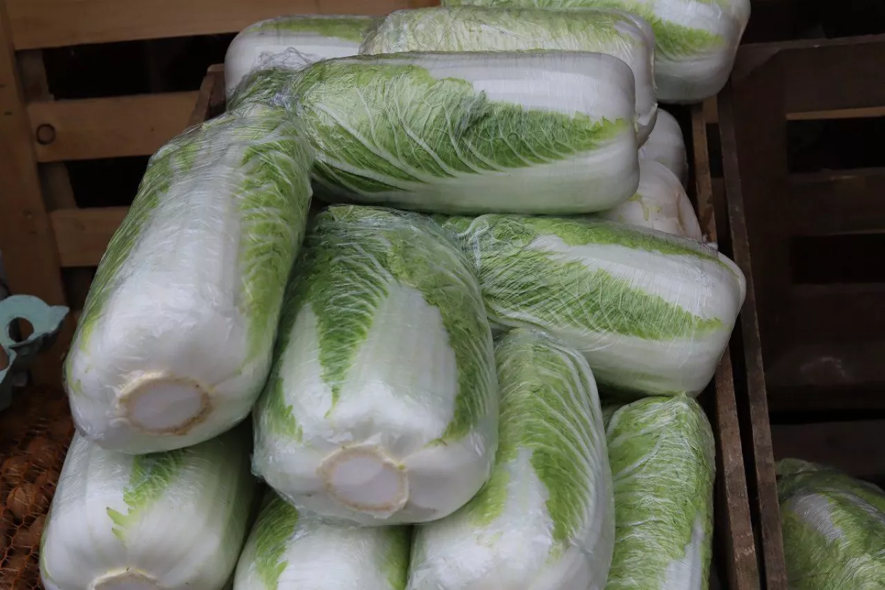 kapusta, kapusta pekińska, rynek warzyw 