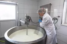 Monika Lasoń, Groser, Grodziskie sery