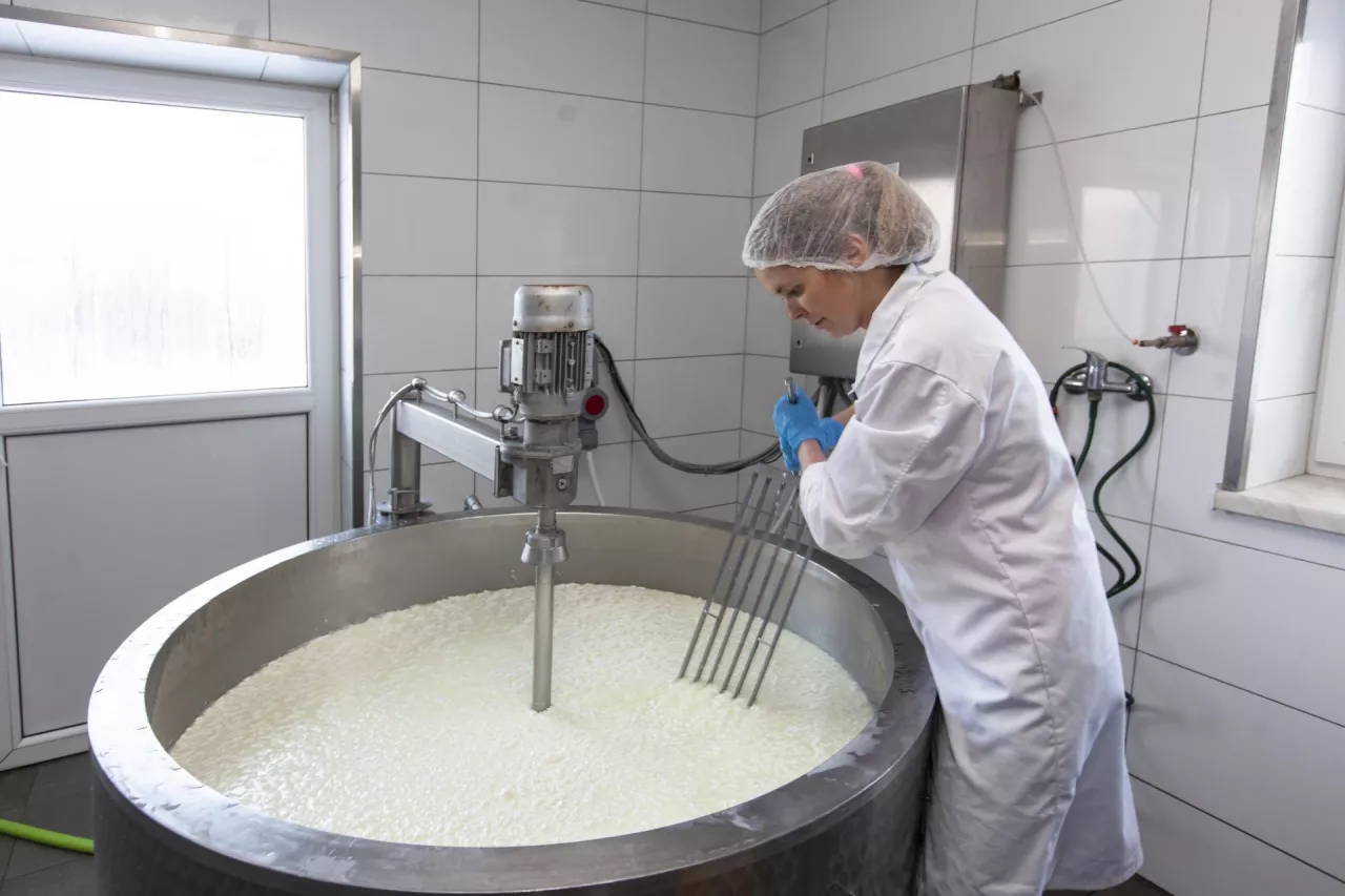 Monika Lasoń, Groser, Grodziskie sery