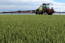 Nawet 1180 zł/ha. Do jakich upraw dostaniesz dopłaty IP w 2026? [LISTA]