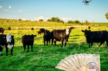 Zmiany w TUZ od marca 2026. Rolnicy zyskają więcej swobody