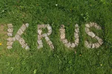 Brak ziemi a ubezpieczenie w KRUS – co mówią przepisy?