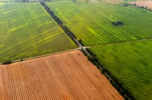 przetarg na ziemię rolną