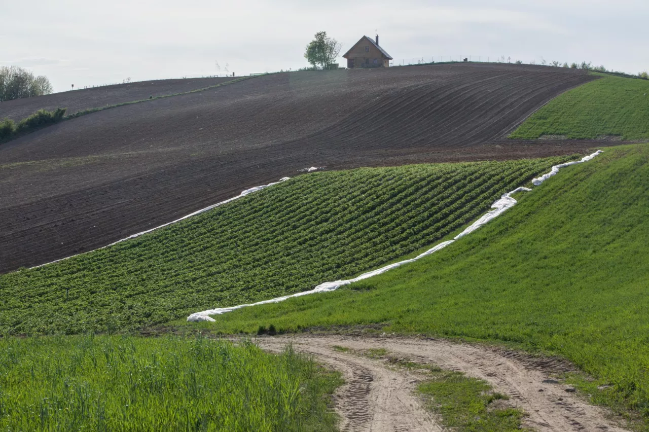 Czy dzierżawa ziemi daje prawo do ubezpieczenia w KRUS?