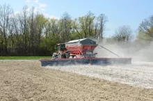 Jak wapnować pole pod kukurydzę? Sprawdź najważniejsze zasady