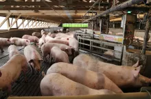 lochy luźne, lochy na stacjach