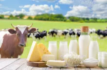 Na znaczeniu zyskuje skrócenie łańcucha żywnościowego jako sposobu na zwiększenie przychodów w gospodarstwie. Jedną z form działalności jest rolniczy handel detaliczny, który zyskuje na znaczeniu nie tylko w małych gospodarstwach rolnych, ale również i tych średnich.