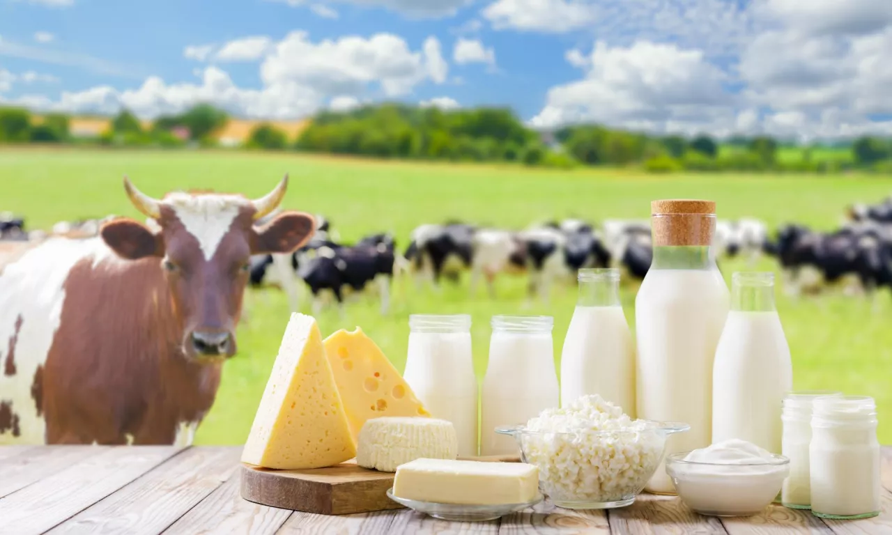 Na znaczeniu zyskuje skrócenie łańcucha żywnościowego jako sposobu na zwiększenie przychodów w gospodarstwie. Jedną z form działalności jest rolniczy handel detaliczny, który zyskuje na znaczeniu nie tylko w małych gospodarstwach rolnych, ale również i tych średnich.