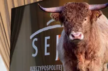 Debata w Sejmie pokazała, że problem nie dotyczy wyłącznie techniki uboju, lecz całego modelu produkcji żywności w Polsce