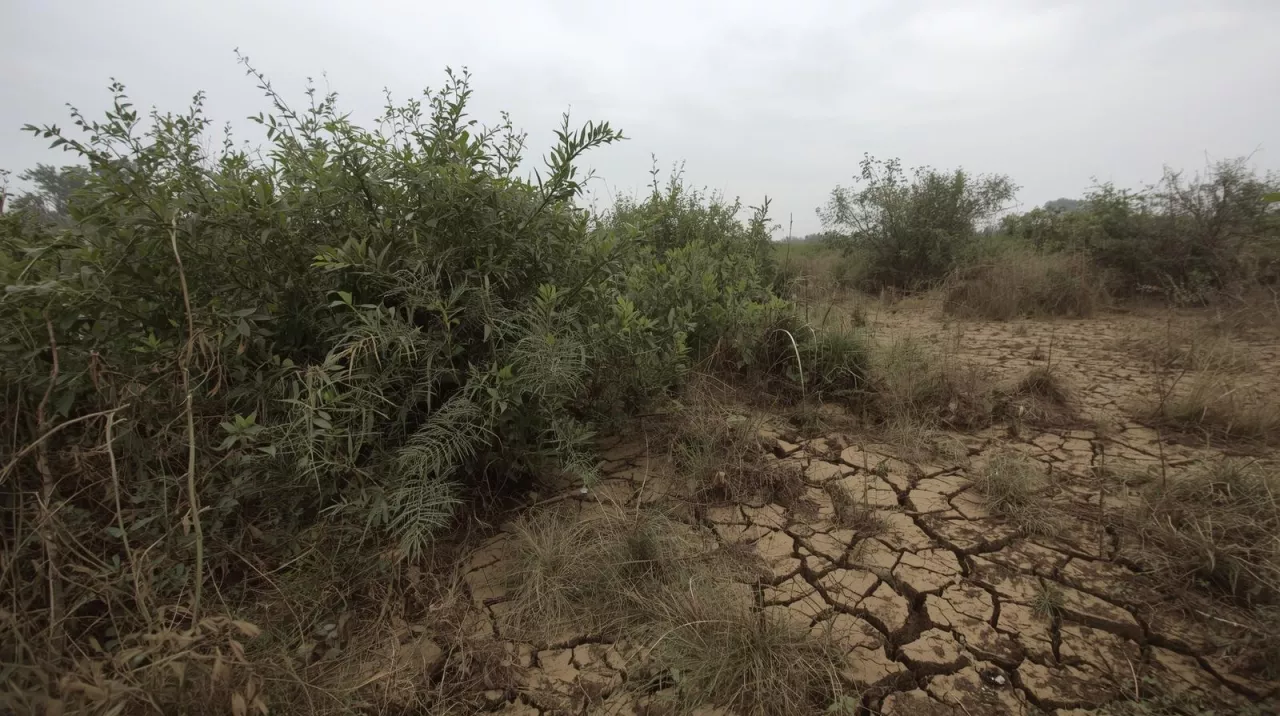 Jak przywrócić nieużytkowany grunt do produkcji?