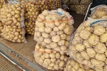 ziemniaki, młode ziemniaki, ceny ziemniaków