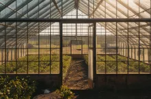 Czy od nieużywanej szklarni trzeba płacić podatek?