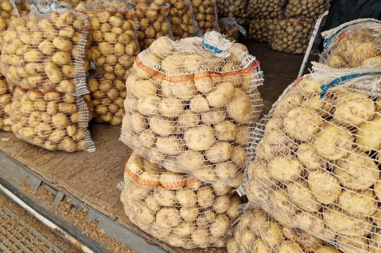 ziemniaki, młode ziemniaki, ceny ziemniaków