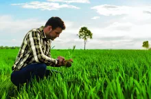 Wiosna 2026: Zabezpiecz potencjał plonowania!