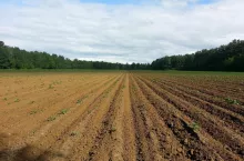 ziemia rolna, ceny ziemi rolnej