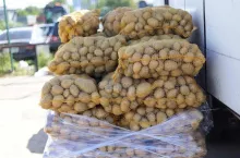 ziemniaki, ceny ziemniaków, import ziemniaków