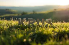 Dobrowolne ubezpieczenie w KRUS w 2026 roku – ile wynosi składka i kto może z niego skorzystać?