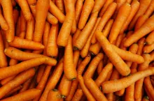 marchew import marchwi