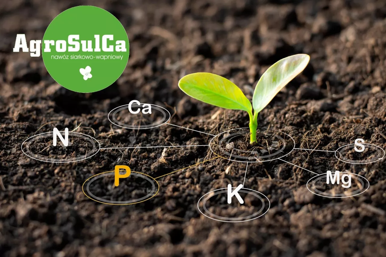 AgroSulca nawóz siarkowo-wapniowy