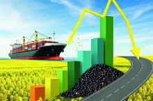 Rzepak, rosnące ceny i import