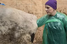 lek. wet Klaudia Malicka-Kaczyńska