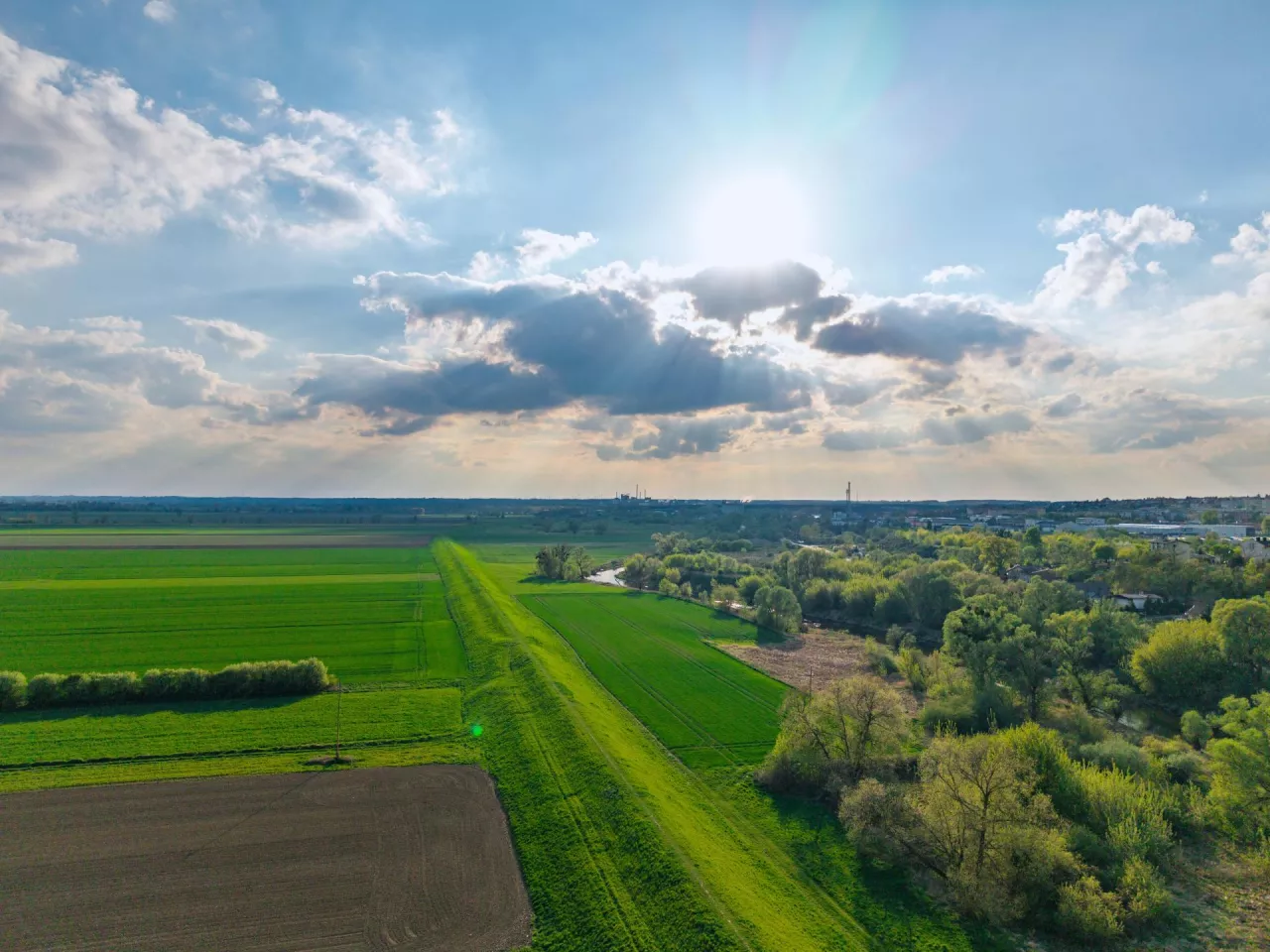 Ponad 80% polskich gospodarstw ma mniej niż 15 ha, ale struktura rolnictwa zaczyna się zmieniać. Najnowsze dane ARiMR pokazują rosnącą koncentrację gruntów, zwłaszcza w grupie obszarowej 50–100 ha.