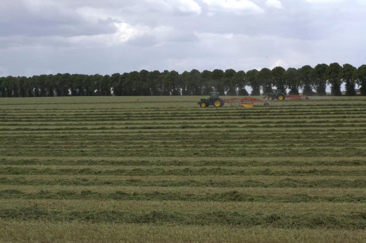 Śmierć właściciela ziemi – co z dzierżawą i czynszem?