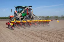 siew kukurydzy ze zmienną normą