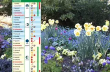 Kalendarz biodynamiczny na kwiecień 2026. Co robić w ogrodzie?