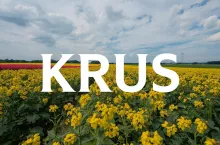 Nowe składki KRUS na II kwartał 2026. Ile zapłacą rolnicy?