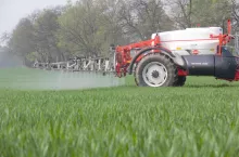 zabieg T1 w pszenicy wiosną