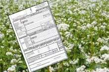 Ocena polowa materiału siewnego 2026. Terminy, wnioski i zasady PIORiN