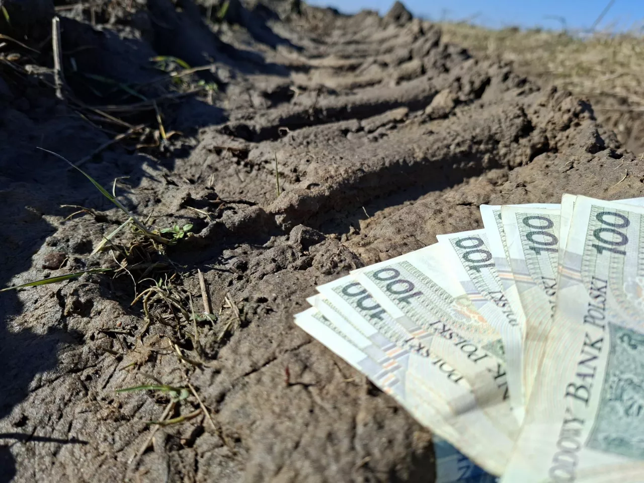 dopłaty, pieniądze, płatność, płatności bezpośrednie