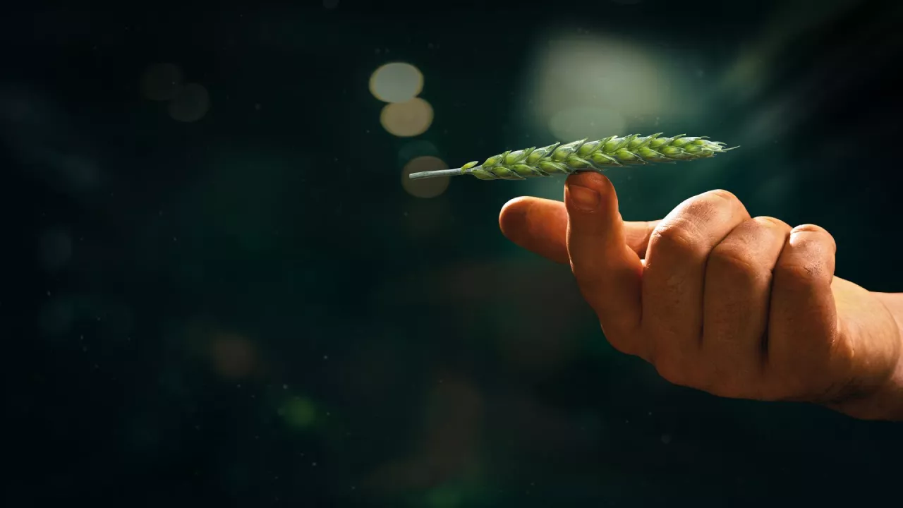 DAXUR® idealnie wyważone KORZYŚCI