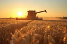 Nowe prawo dla wsi coraz bliżej. Rolnicy zyskają większą ochronę przed skargami sąsiadów?