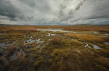 Zmiany w statusie ziemi i nowe wsparcie! Rolnicy zyskają więcej możliwości w WPR