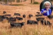 Stado bydła na australijskim pastwisku; Ursula von der Leyen