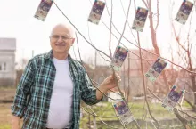 emeryt przy drzewie stoi, na gałęziach wiszą banknoty polskie